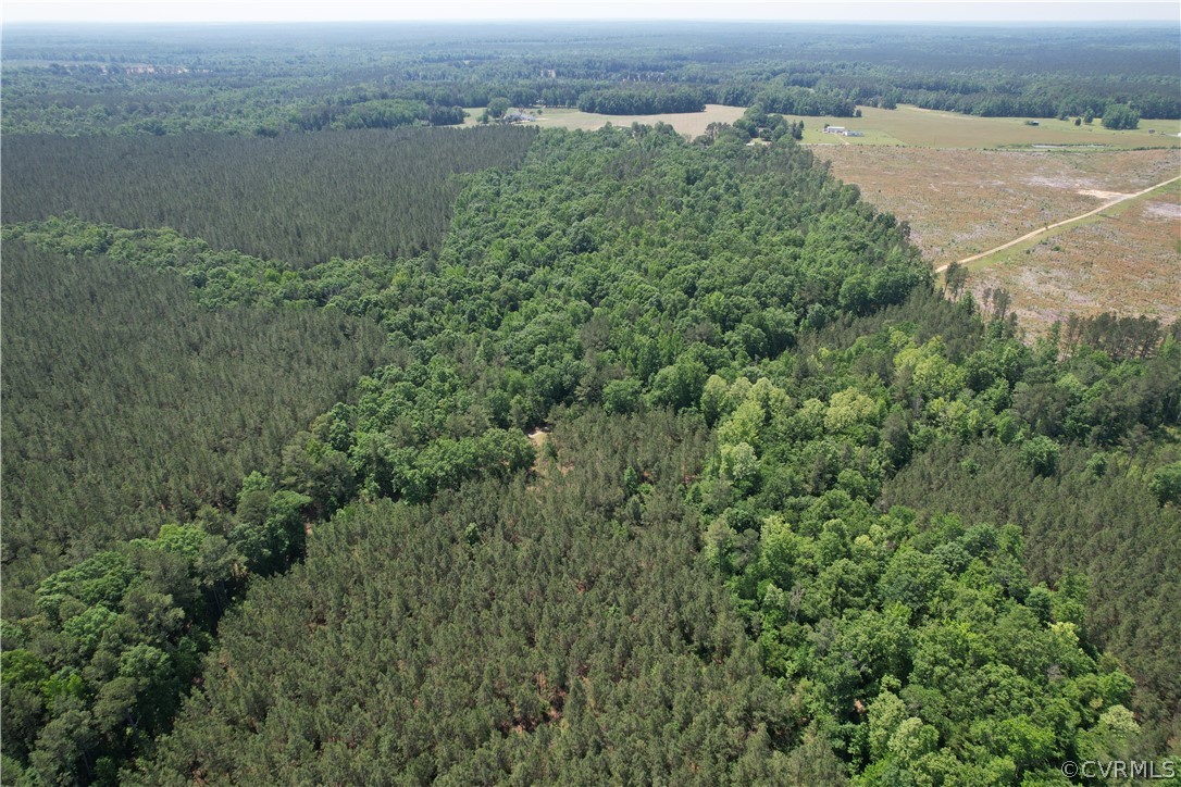 0 Lew Jones Road Dewitt, VA 23840 - Photo 48 of 50 an aerial view of valley and lake