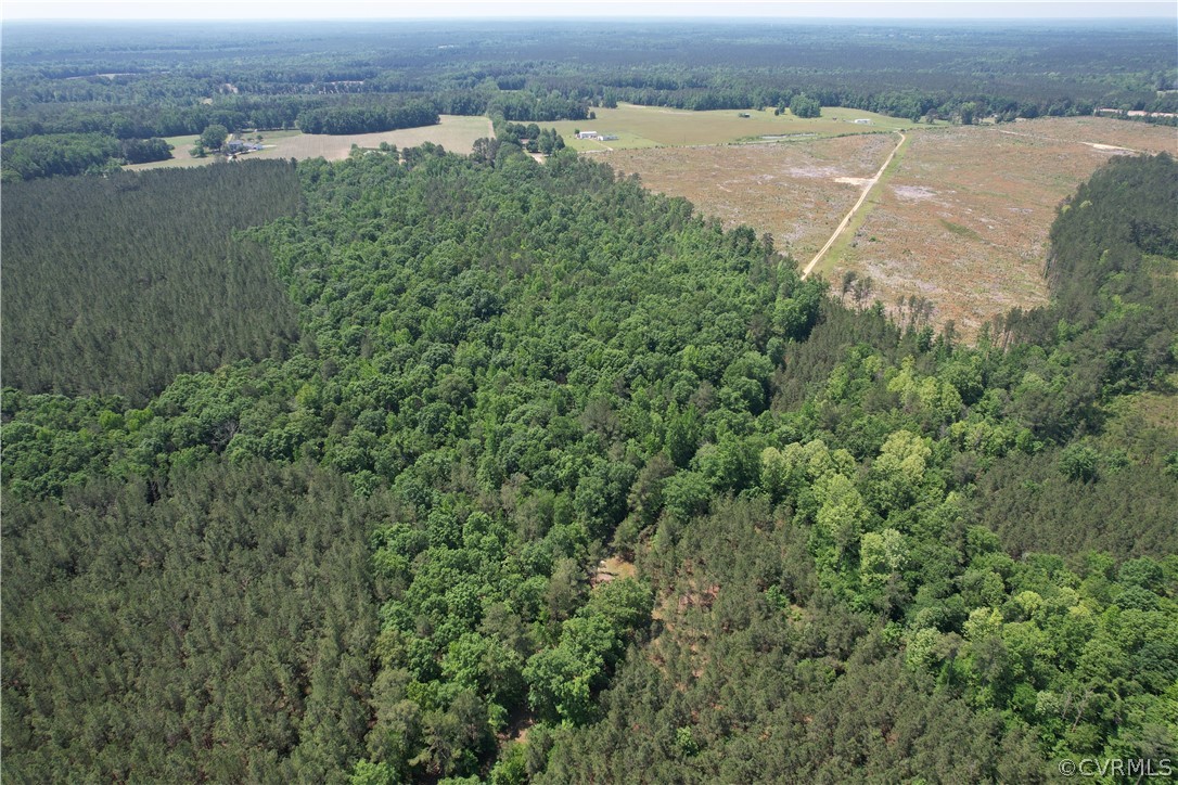 0 Lew Jones Road Dewitt, VA 23840 - Photo 6 of 50 an aerial view of valley and lake