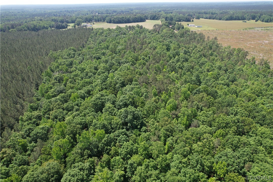 0 Lew Jones Road Dewitt, VA 23840 - Photo 10 of 50 an aerial view of a houses with a lake view