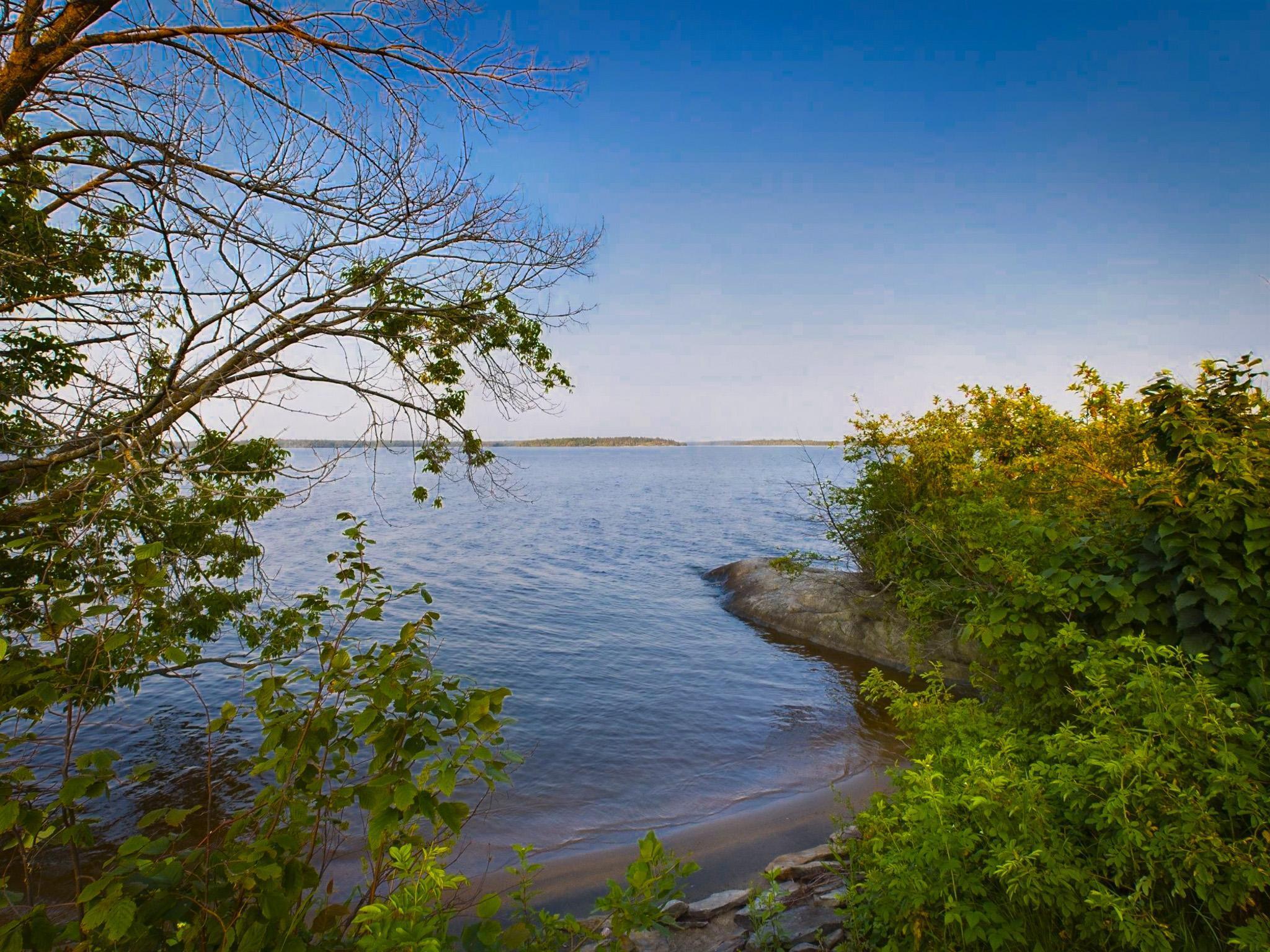 1 Birch Island Angle Inlet, MN 56711 - Photo 27 of 42