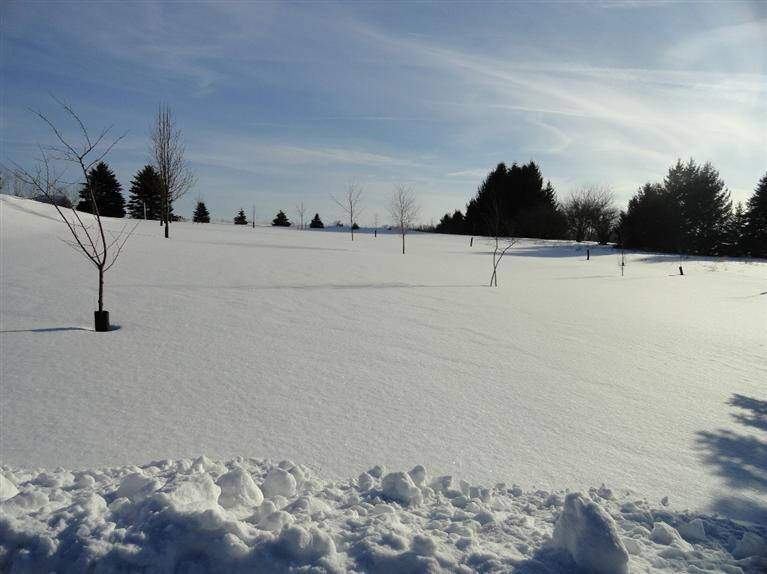 11017 Bellman Road Grass Lake, MI 49240 - Photo 4 of 28 Photo 4