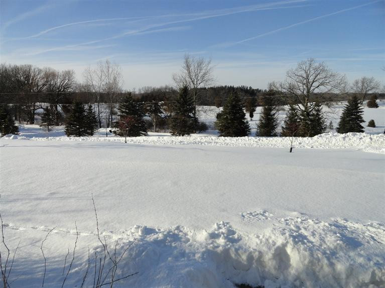11017 Bellman Road Grass Lake, MI 49240 - Photo 5 of 28 Photo 5