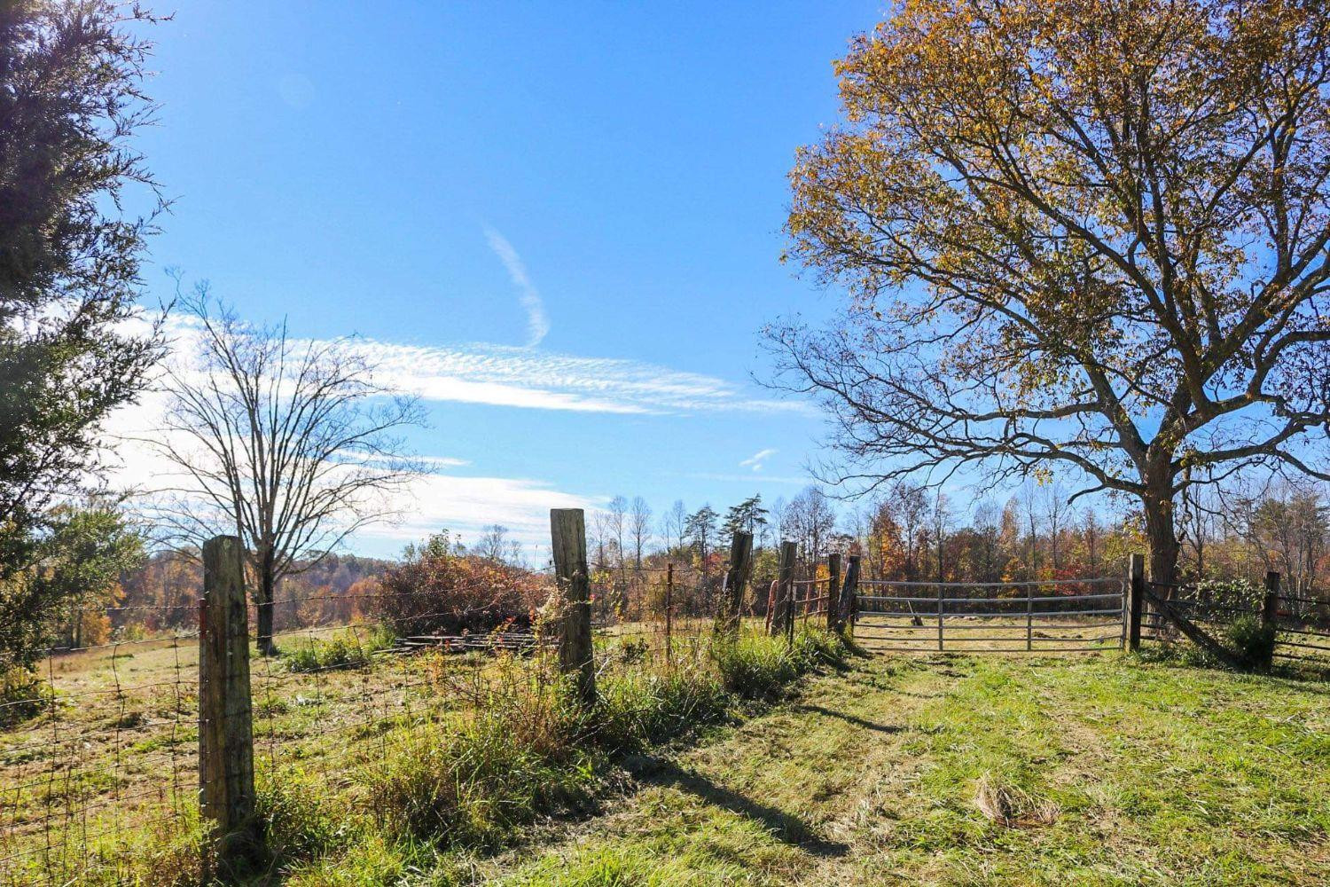 0 Red Fox Road Williamsburg, KY 40769 - Photo 1 of 9 Photo 1