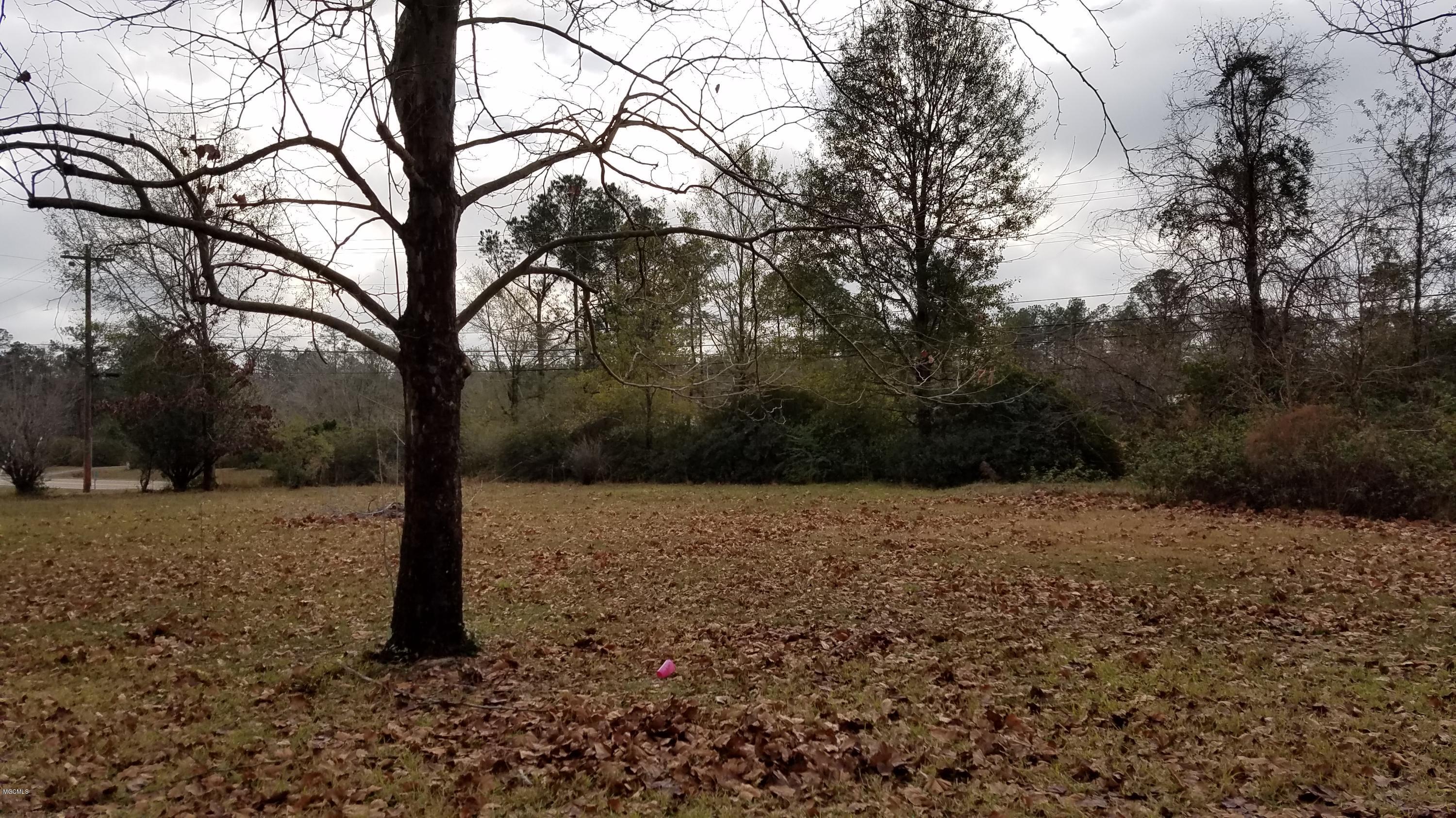 29144 J P Ladner Road Pass Christian, MS 39571 - Photo 8 of 29 20170103_100717
