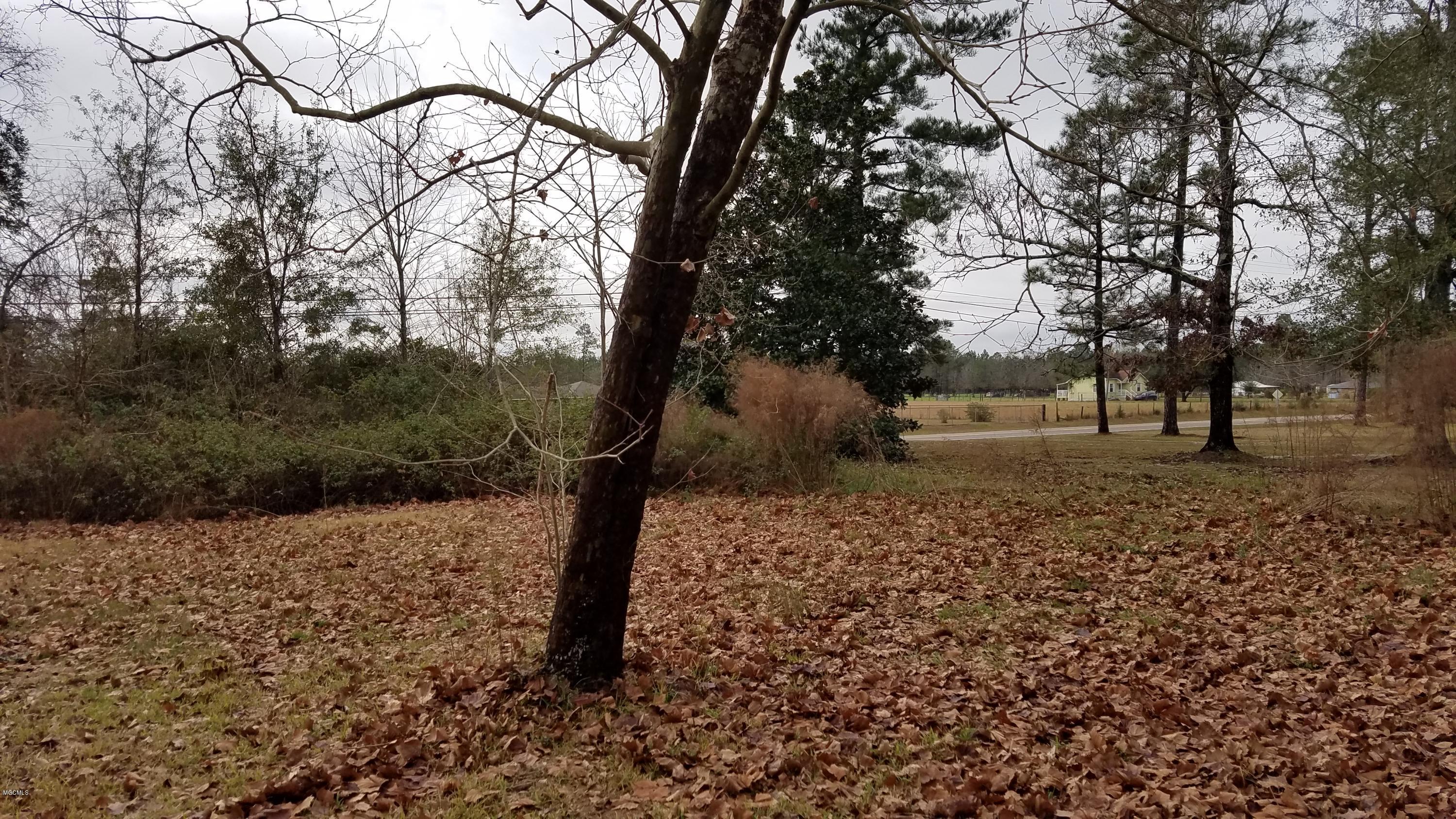 29144 J P Ladner Road Pass Christian, MS 39571 - Photo 9 of 29 20170103_100723