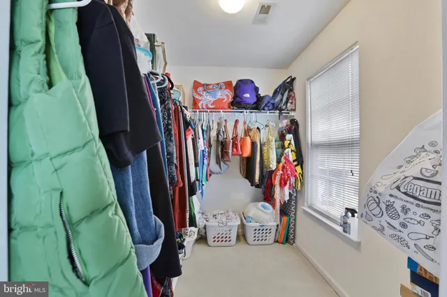 a view of a garden with a bench