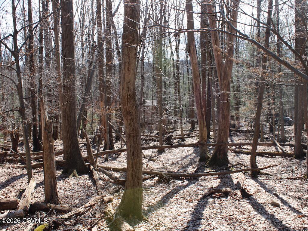 Squirrel Lane Shickshinny, PA 18655 - Photo 35 of 50