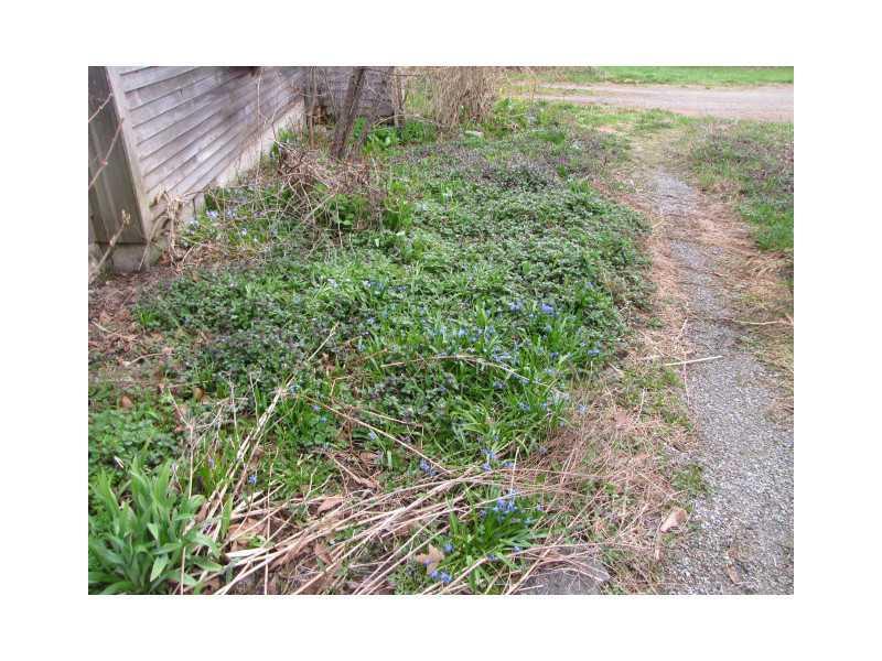 3224 Colonel Stairs Road Friendship, ME 04547 - Photo 22 of 23 Yard/Garden.