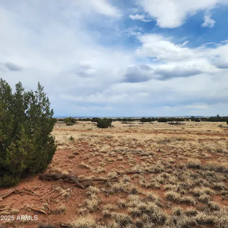 $44,000 | 5506 Glasgow Drive, Unit 54, Heber, AZ 85928