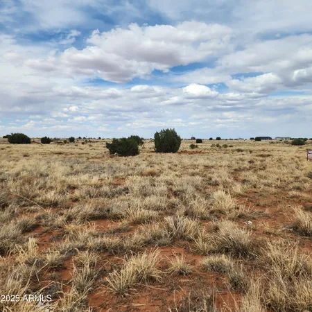 $44,000 | 5506 Glasgow Drive, Unit 54, Heber, AZ 85928