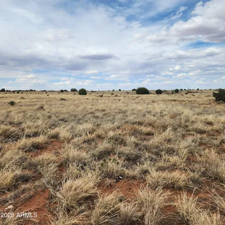 $44,000 | 5506 Glasgow Drive, Unit 54, Heber, AZ 85928