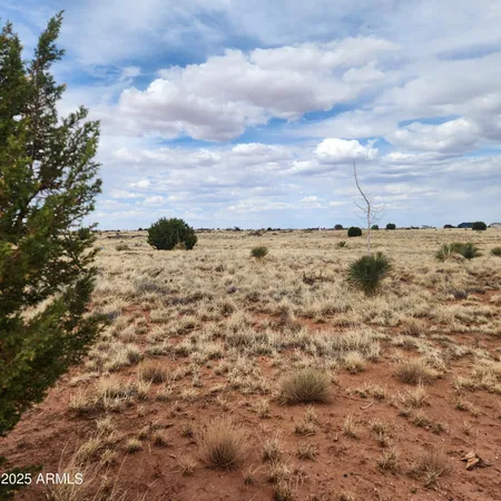 $44,000 | 5506 Glasgow Drive, Unit 54, Heber, AZ 85928