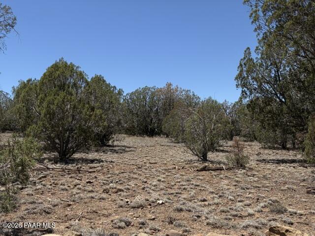 356 A Sierra Verde Ranch Seligman, AZ 86337 - Photo 5 of 8 a view of a yard with a tree