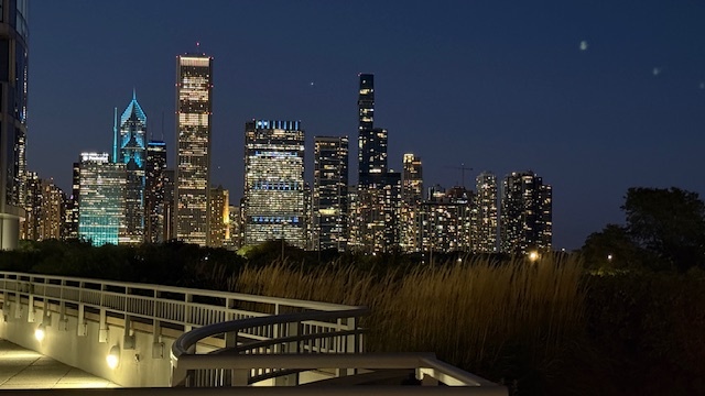 1235 South Prairie Avenue, Unit 3206 Chicago, IL 60605 - Photo 43 of 46