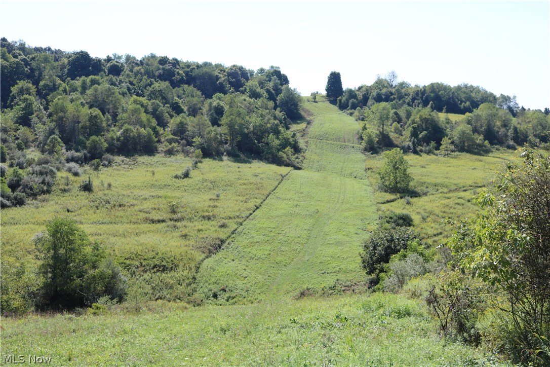 Fife Road Cadiz, OH 43907 - Photo 1 of 29