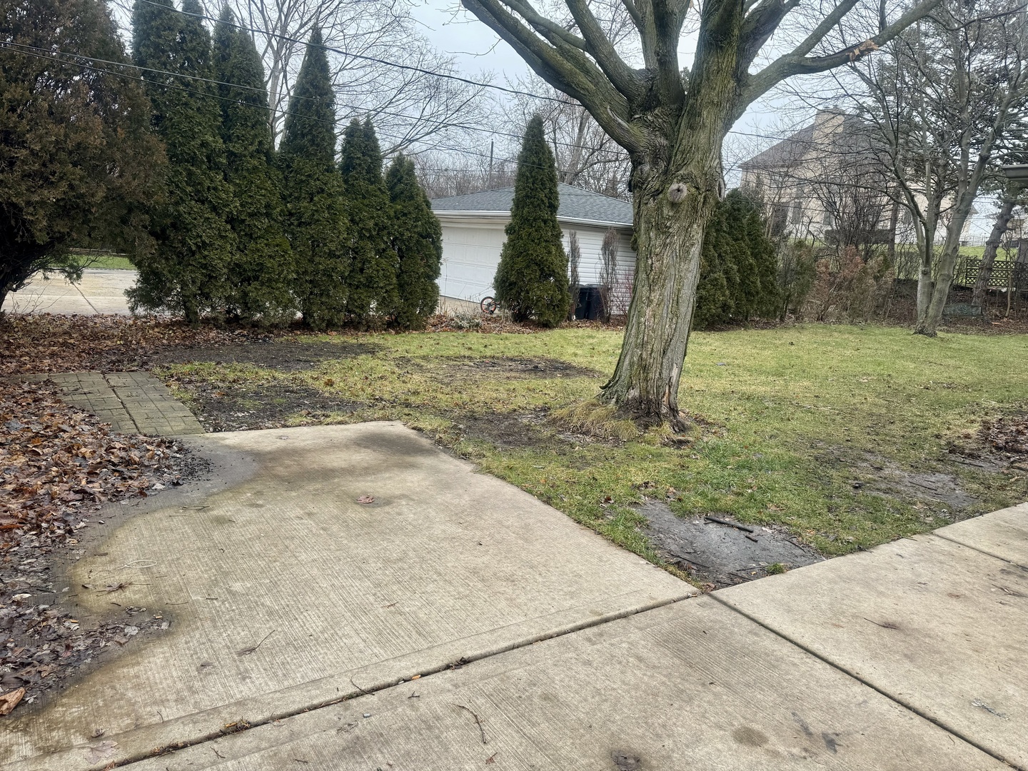 141 Warren Avenue Bloomingdale, IL 60108 - Photo 15 of 22 a view of backyard with green space