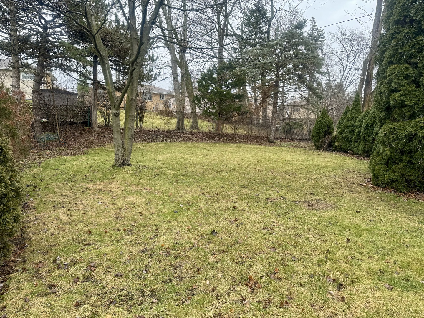 141 Warren Avenue Bloomingdale, IL 60108 - Photo 17 of 22 a backyard of a house with lots of green space
