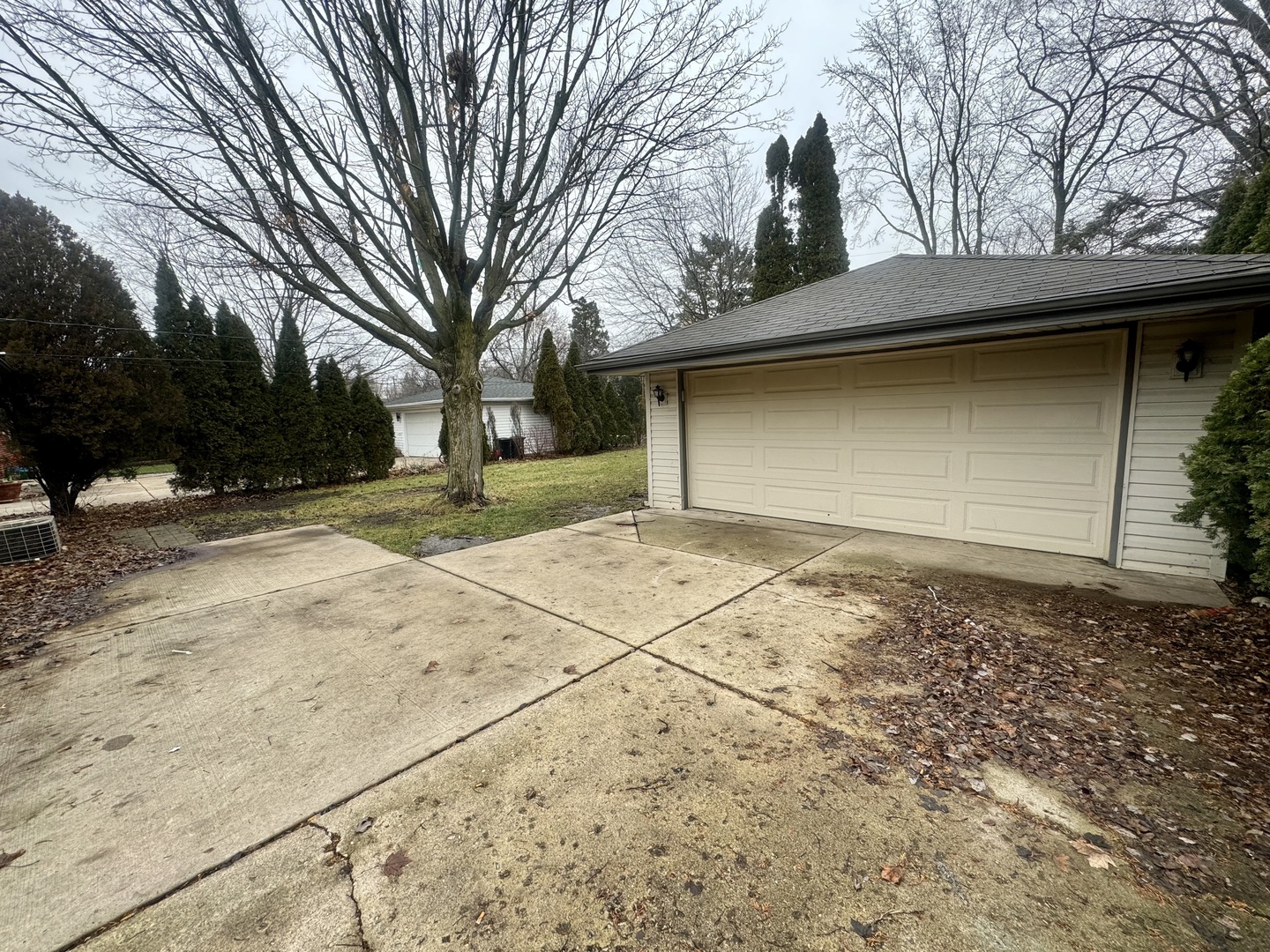141 Warren Avenue Bloomingdale, IL 60108 - Photo 22 of 22 a view of garage yard and tree