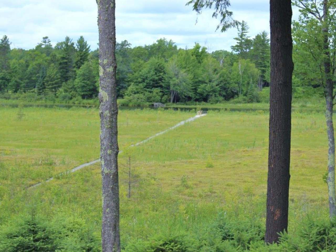 On Grundy Point Road, Unit LOT 2 Minocqua, WI 54548 - Photo 4 of 25 Gallery Image 4