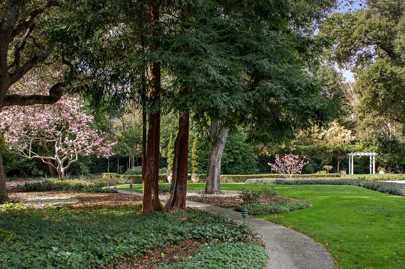 191 Britton Avenue Atherton, CA 94027 - Photo 3 of 23 a view of a park with large trees