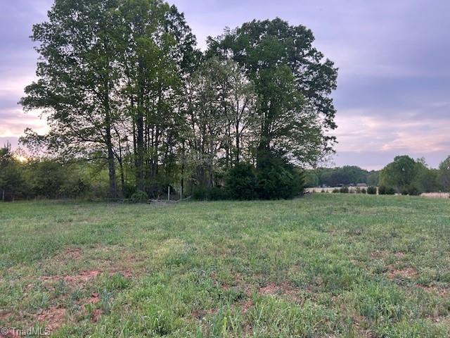 0 Mims Farm Road Reidsville, NC 27320 - Photo 30 of 35 Gallery Image 30