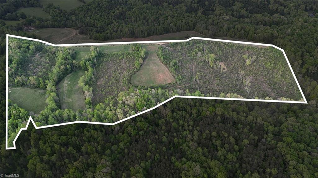 0 Mims Farm Road Reidsville, NC 27320 - Photo 3 of 35 Gallery Image 3