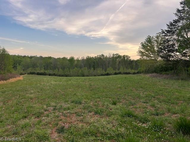 0 Mims Farm Road Reidsville, NC 27320 - Photo 32 of 35 Gallery Image 32