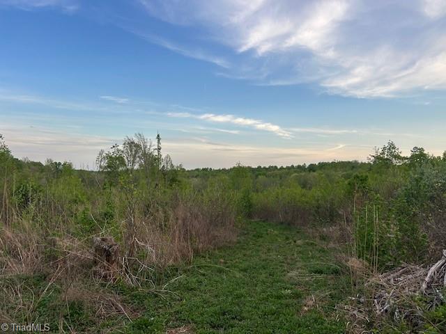 0 Mims Farm Road Reidsville, NC 27320 - Photo 33 of 35 Gallery Image 33