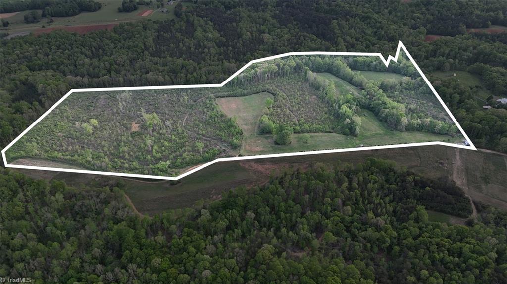 0 Mims Farm Road Reidsville, NC 27320 - Photo 4 of 35 Gallery Image 4