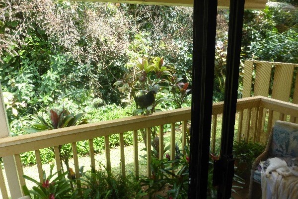 4800 Hanalei Plantation Road, Unit 5A Princeville, HI 96722 - Photo 15 of 20 a view of balcony and yard