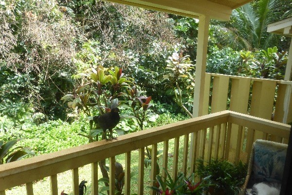 4800 Hanalei Plantation Road, Unit 5A Princeville, HI 96722 - Photo 3 of 20 a view of a balcony with an outdoor space