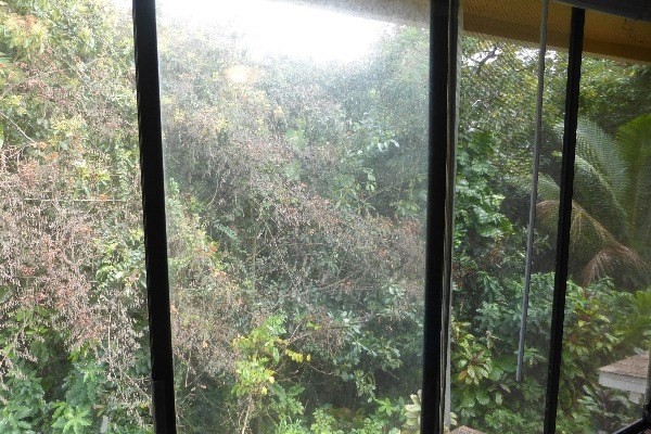 4800 Hanalei Plantation Road, Unit 5A Princeville, HI 96722 - Photo 9 of 20 a view of a forest from a window