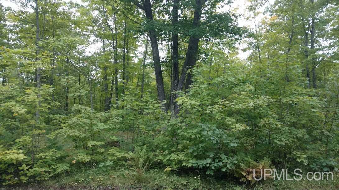 Tbd Wassa Road Calumet, MI 49913 - Photo 1 of 12