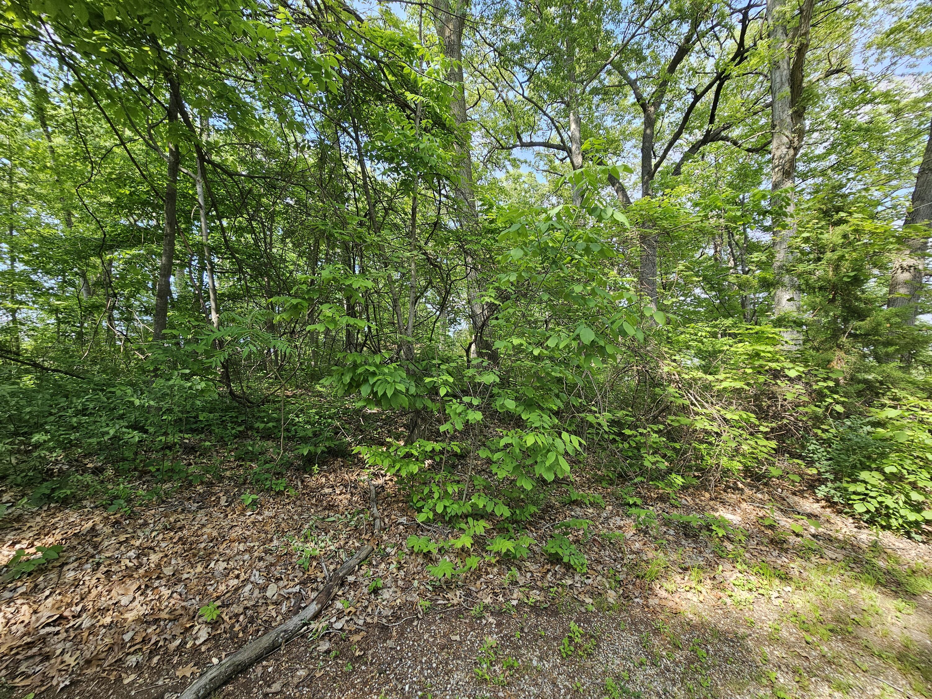 5350 Eze Street Reading, MI 49274 - Photo 32 of 36 1000039206