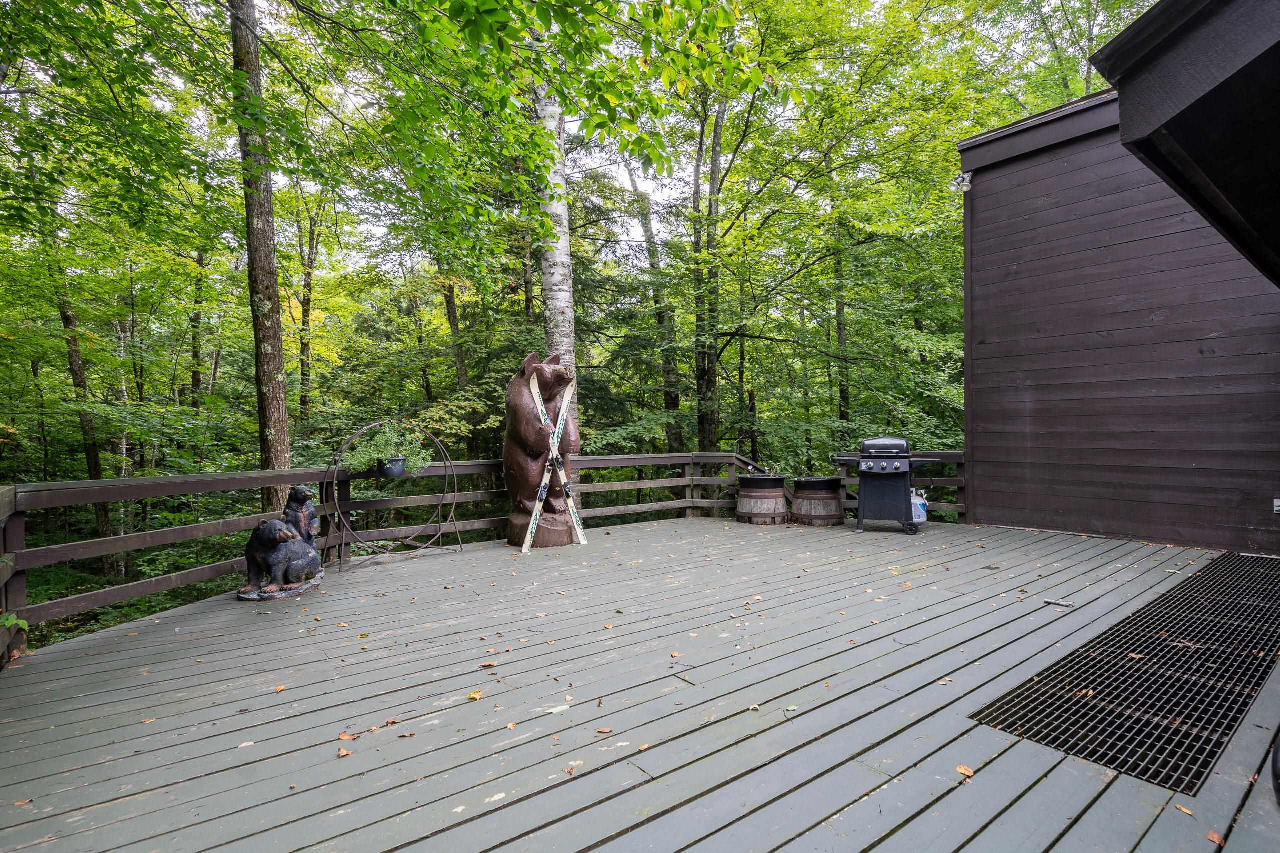 181 Alran Road Killington, VT 05751 - Photo 27 of 33 Gallery Image 27