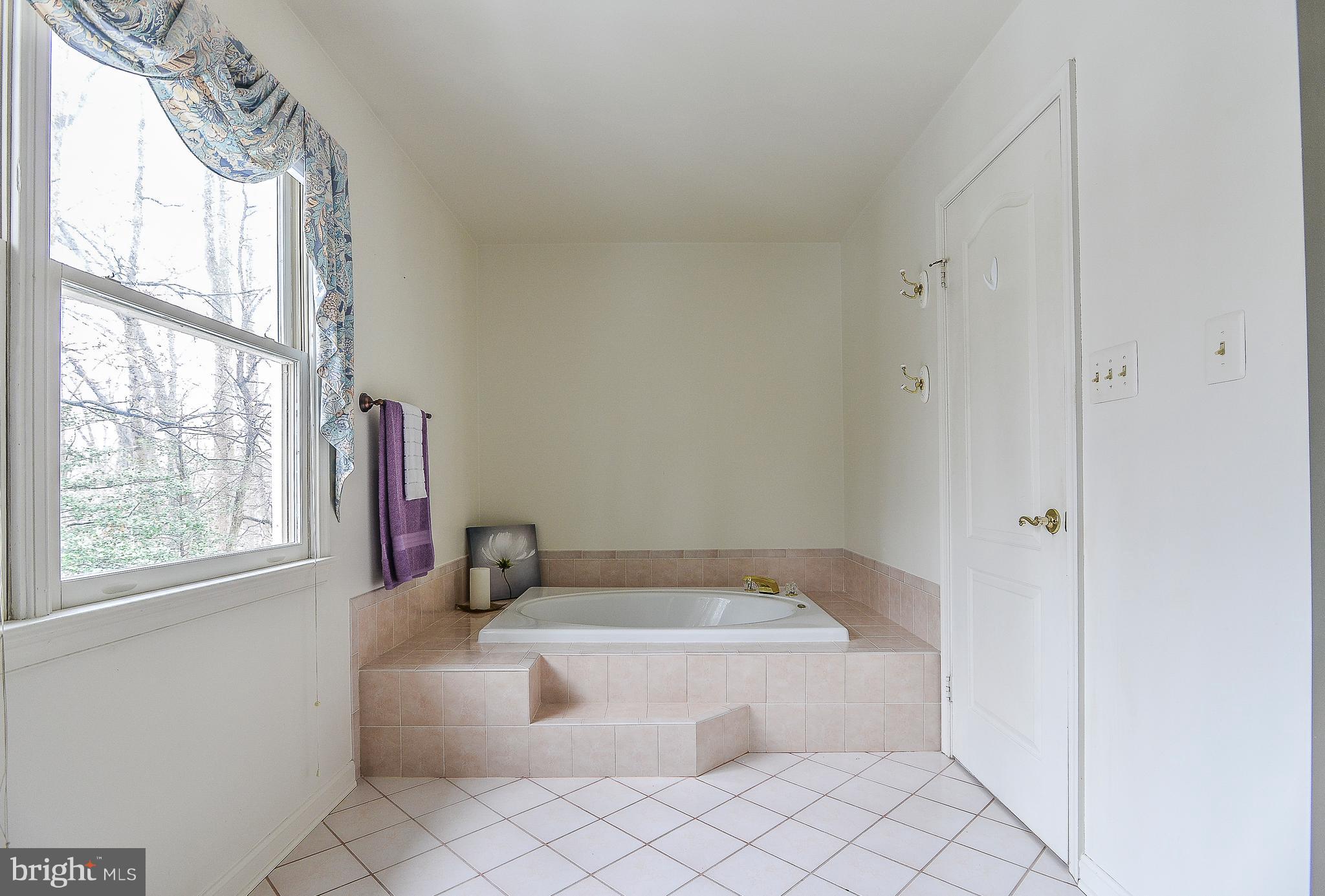 8670 Center Road Springfield, VA 22152 - Photo 18 of 33 Oversized Soaking Tub w/ step up