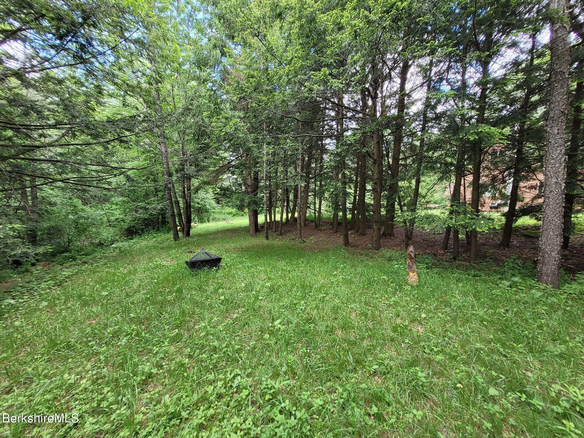 106 Access Road Becket, MA 01223 - Photo 10 of 43 a view of green field with trees in the background