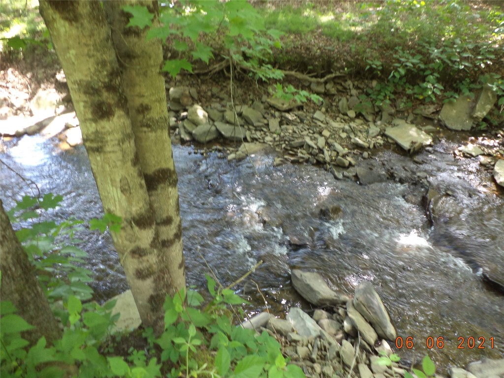 20 Cheese Factory Road Deposit, NY 13754 - Photo 12 of 22 Gallery Image 12
