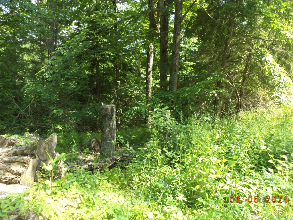 20 Cheese Factory Road Deposit, NY 13754 - Photo 21 of 22 Gallery Image 21