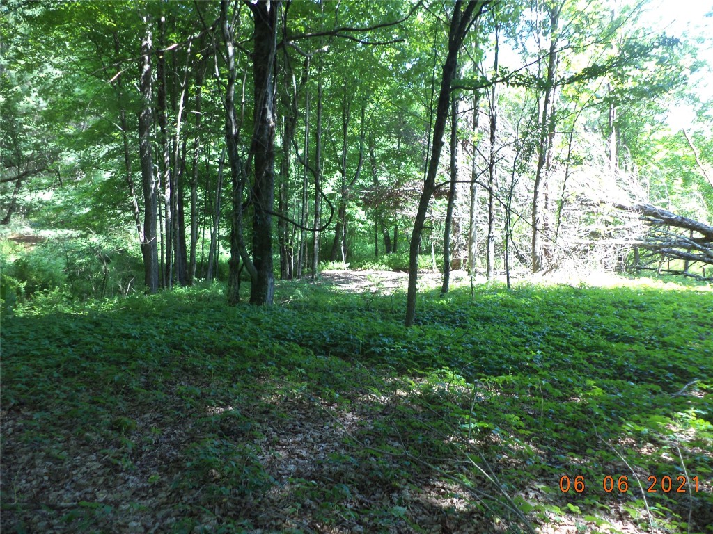 20 Cheese Factory Road Deposit, NY 13754 - Photo 3 of 22 Gallery Image 3