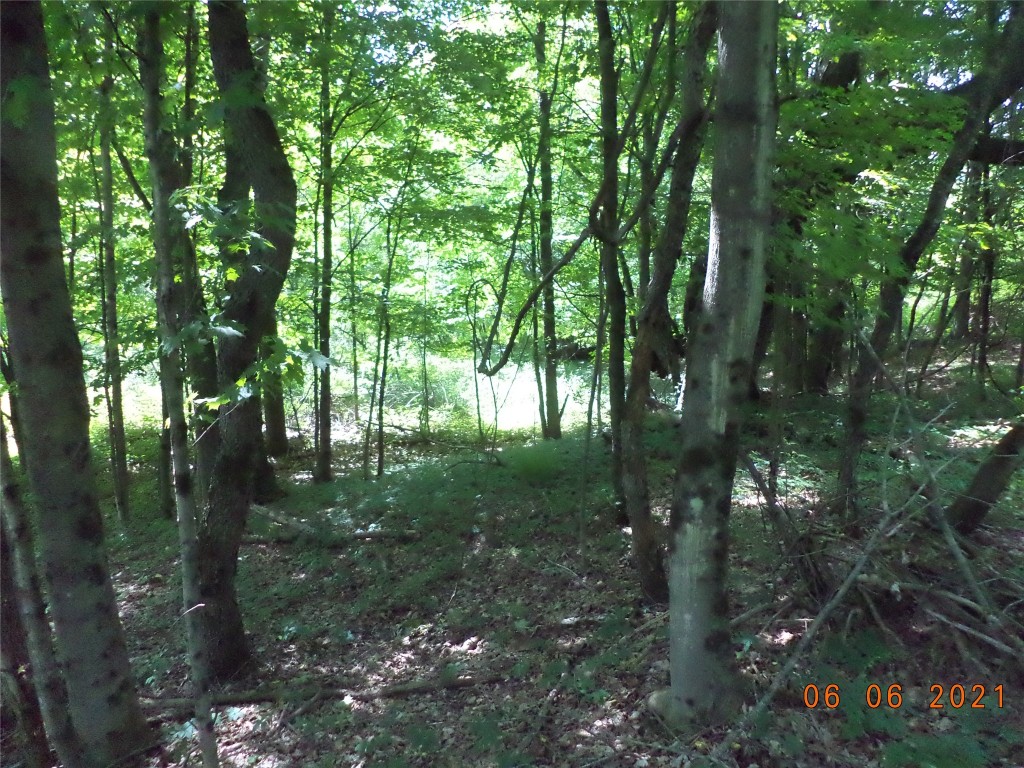 20 Cheese Factory Road Deposit, NY 13754 - Photo 4 of 22 Gallery Image 4