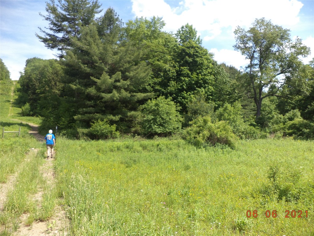 20 Cheese Factory Road Deposit, NY 13754 - Photo 8 of 22 Gallery Image 8