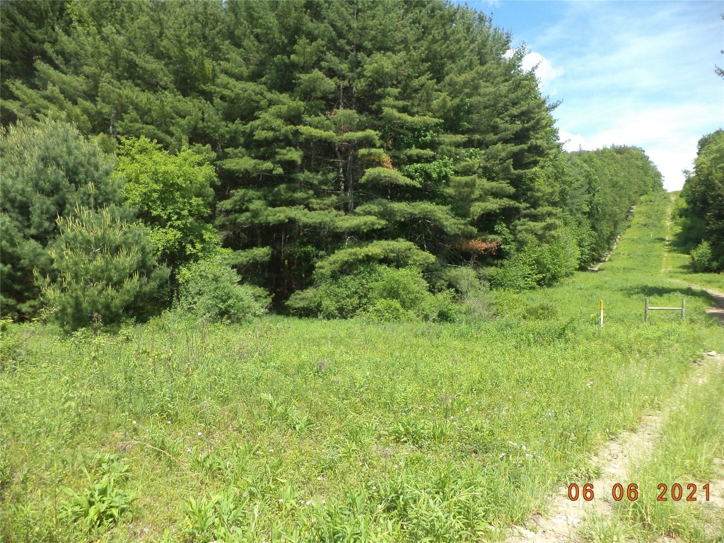 20 Cheese Factory Road Deposit, NY 13754 - Photo 9 of 22 Gallery Image 9