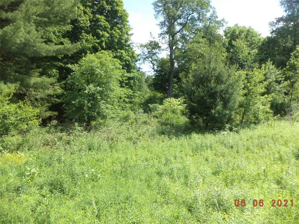 20 Cheese Factory Road Deposit, NY 13754 - Photo 10 of 22 Gallery Image 10