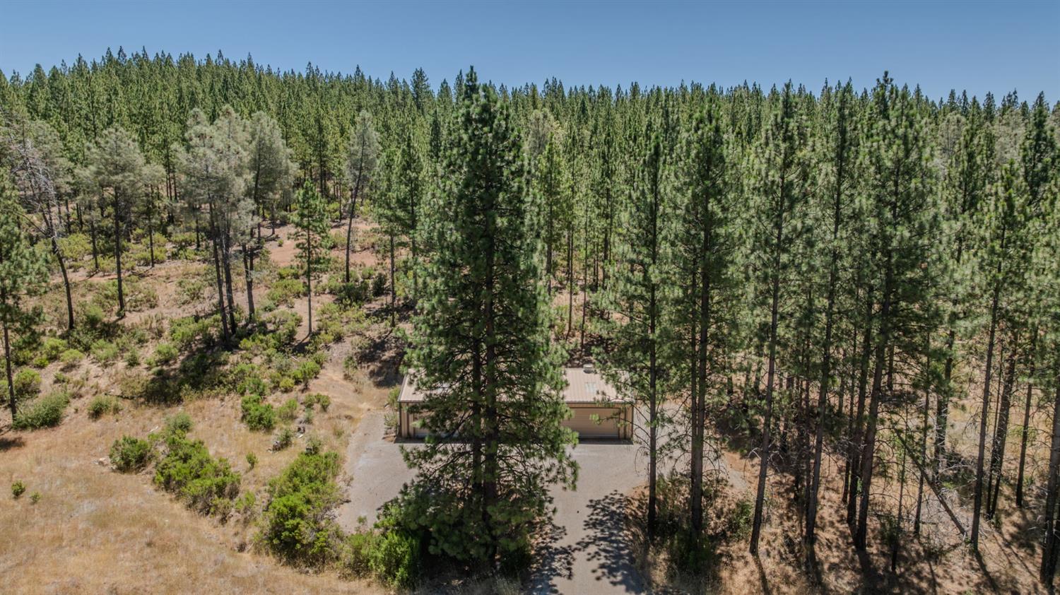 7559 Alamo Rd Mountain Ranch Mountain Ranch, CA 95246 - Photo 2 of 27