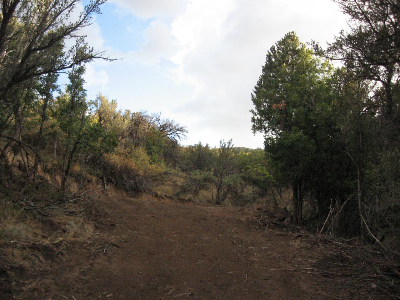 2 Rim Pine Valley Pine Valley, UT 84781 - Photo 1 of 1 Lot