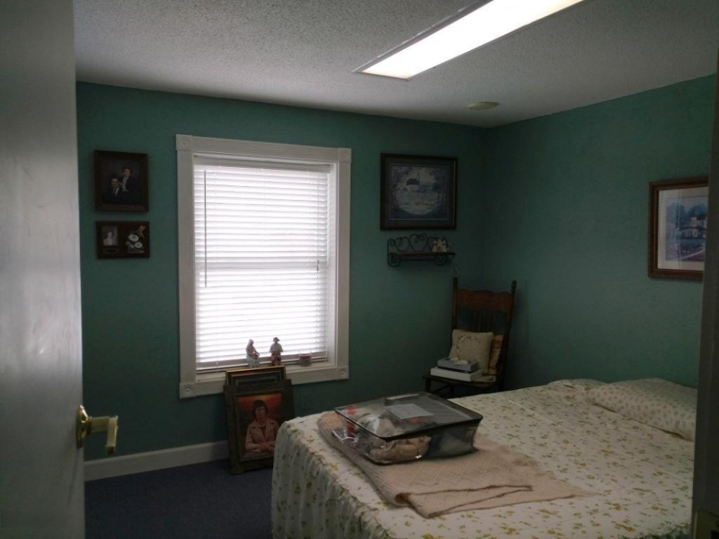 2265 Sampson Road Camden, MI 49232 - Photo 27 of 57 19