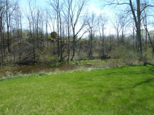 2265 Sampson Road Camden, MI 49232 - Photo 52 of 57 P1090403
