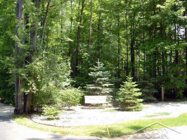 11328 Sarle Road Freeland, MI 48623 - Photo 1 of 18 20042915.JPG