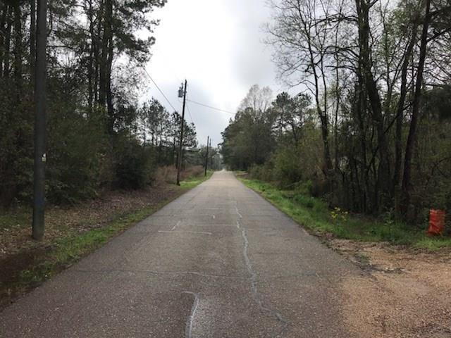 Tract A Blahut Road Hammond, LA 70403 - Photo 1 of 3 Gallery Image 1